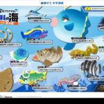 【『進研ゼミ』中学講座】海の生き物キャラクター制作